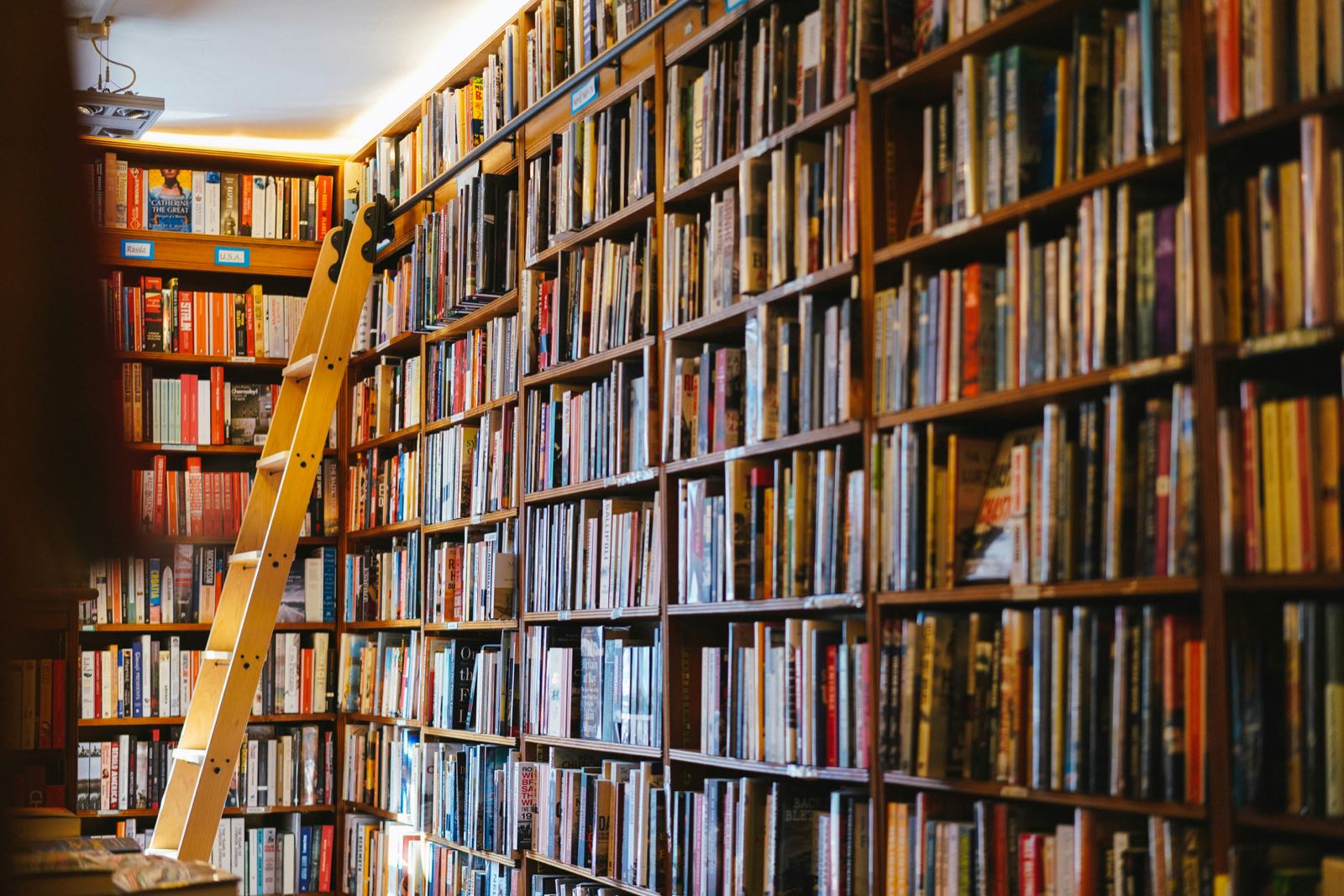 A wall of bookshelves in an independent bookstore with a ladder leaning against it.